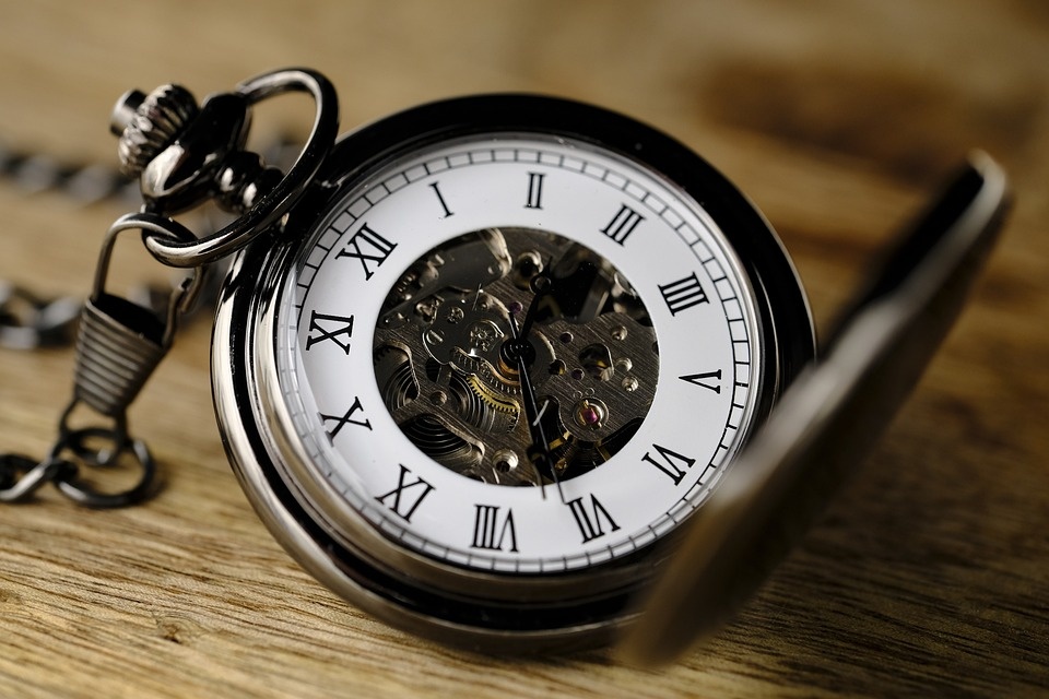 Don’t Wait – Build Your Dream Website with Metanoz!